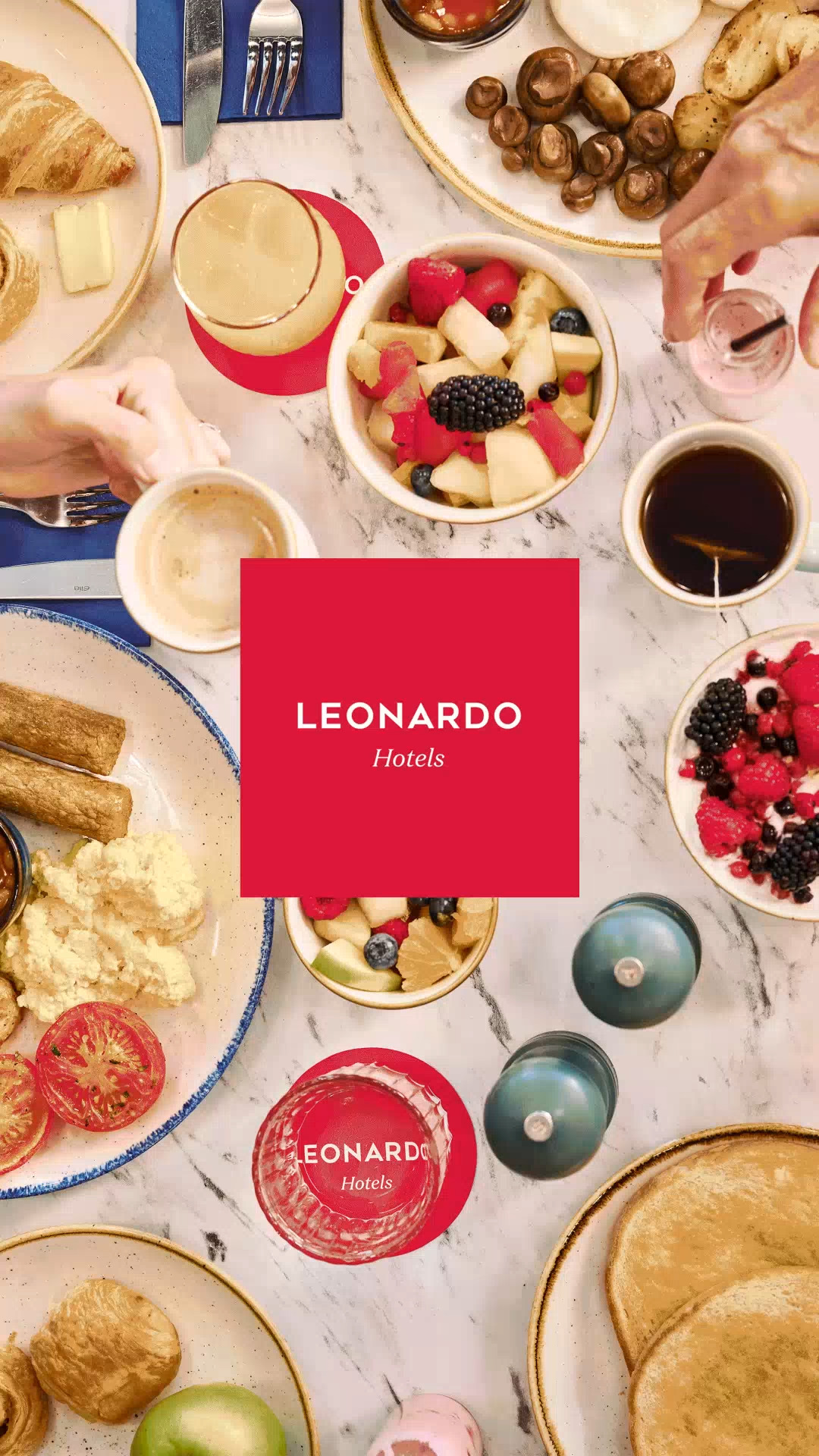 Leonardo Project